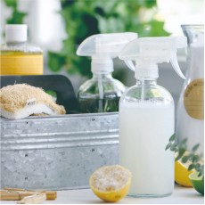 Household cleaners and Germ Buster spray workshop